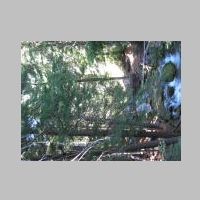 Tamanawas 07Aug2014 002.jpg